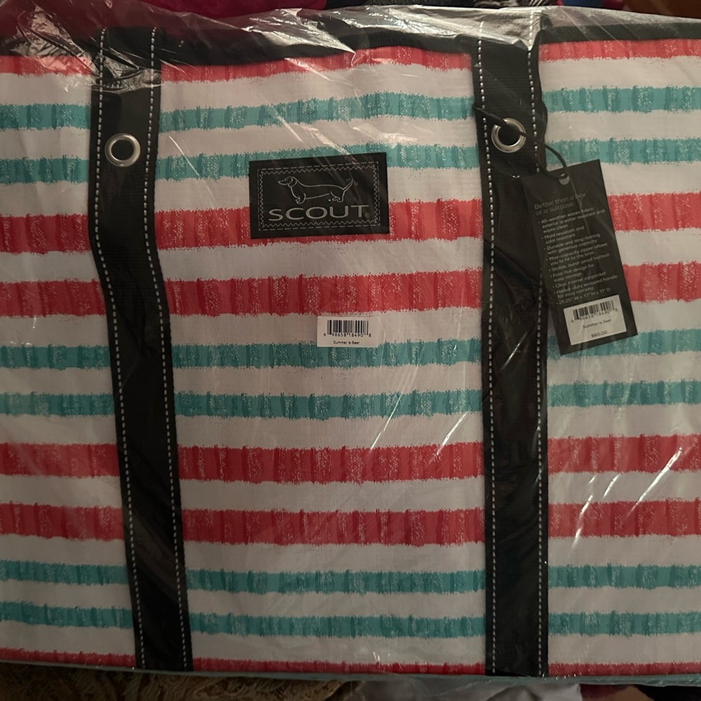 Scout Aqua and Red Striped Tote
